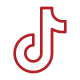 TikTok Icon