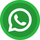WhatsApp Icon